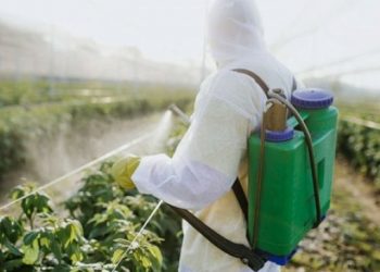 الاتحاد الأوروبي يرفض 108 شحنة خضار وفاكهة من تركيا