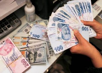 خبير اقتصادي: اليورو في تركيا سيصل إلى 30 ليرة تركية