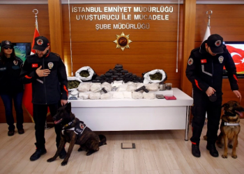 هل اختارت مافيا المخدرات تركيا مستودعًا لمخدر الكوكايين؟