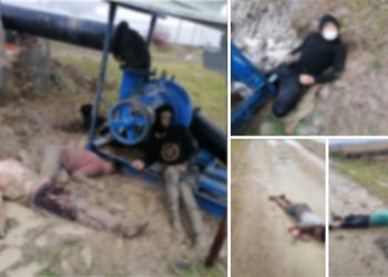 تركيا واليونان تتبادلان الاتهامات بعد وفاة 19 مهاجرًا تجمدوا من البرد