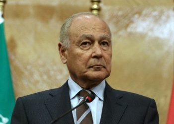 أبو الغيط يشارك في جلسة مجلس الأمن الدولي