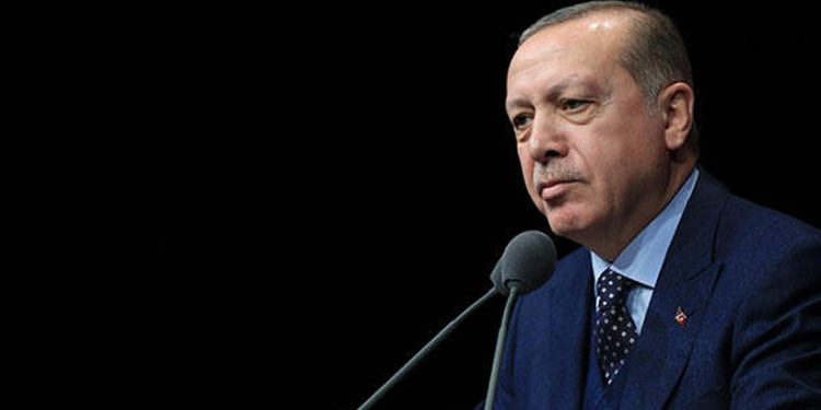 بقرار رئاسي.. تركيا تعفي الواردات الزراعية الأوكرانية