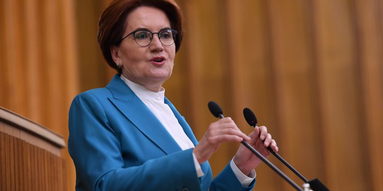 أكشنار: أردوغان يحكم تركيا بمنطق “رئيس القبيلة”