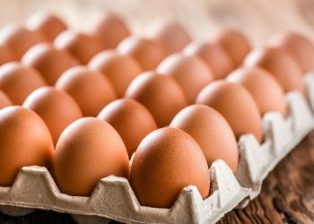 تركيا على موعد مع ارتفاع أسعار البيض