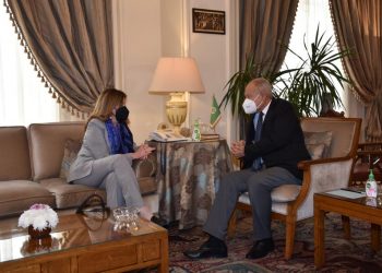 أبو الغيط يبحث مع ستيفاني ويليامز تطورات الوضع في ليبيا