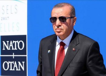 صحف ألمانية: أردوغان مقامر يحب استغلال الأزمات