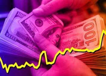 اقتصادي شهير يحذر من “زلزال” بالنقد الأجنبي في تركيا