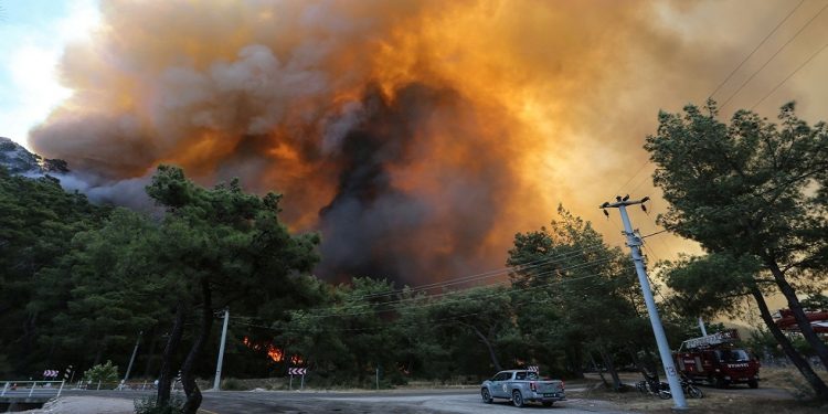 الرئيس أردوغان يعلن السيطرة على الحرائق المندلعة في “موغلا”