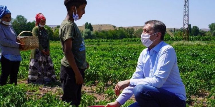 571 طفلاً عاملاً فقدوا حياتهم في تركيا