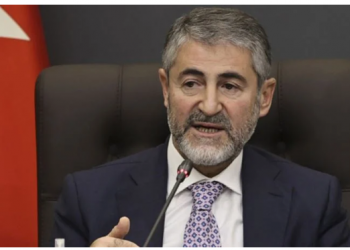هل منع أردوغان وزير المالية من الإدلاء بتصريحات؟