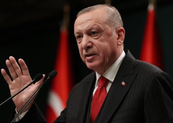صحفي تركي: أردوغان فضولي ولا يثق في نفسه