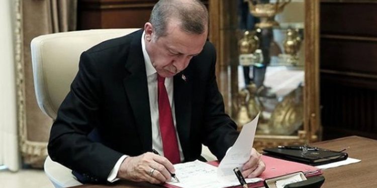 متروبول: أردوغان يخطط لعقد انتخابات مبكرة الخريف القادم