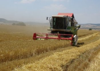 تركيا.. 117% زيادة سنوية بأسعار المدخلات الزراعية