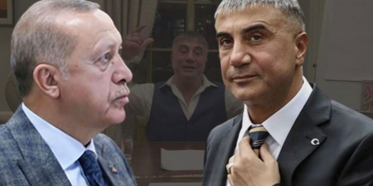 طبيب أردوغان السابق: زعيم المافيا يستهدف الرئيس بلغة خاصة