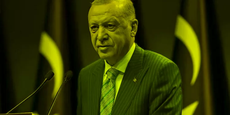 صحفية: أردوغان فشل في الوفاء بوعوده الانتخابية