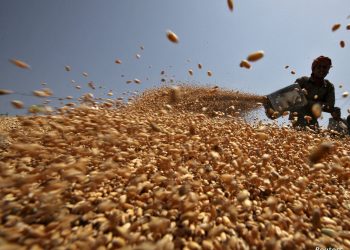 مزيدٌ من القيود تفرضها “الهند” على تصدير الدقيق والقمح