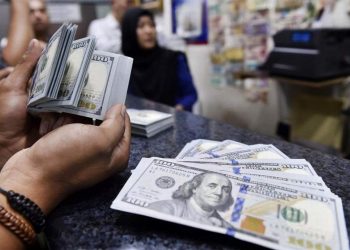 احتياطيات البنك المركزي التركي من الدولار تتآكل في طريقها إلى الذوبان