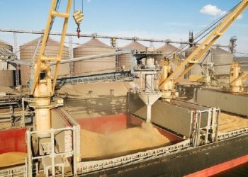 تركيا وأوكرانيا تبحثان مسألة تصدير الحبوب الأوكرانية