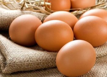 ارتفاع سعر البيض في تركيا إلى الضعف