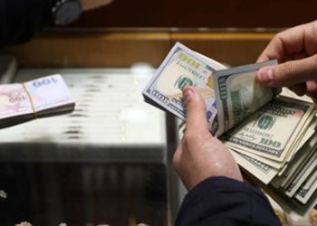 بنك ياباني يتوقع ارتفاع الدولار في تركيا إلى 20 ليرة