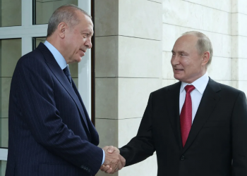 محلل صربي: أردوغان يريد مد جسر تركي بين روسيا والغرب