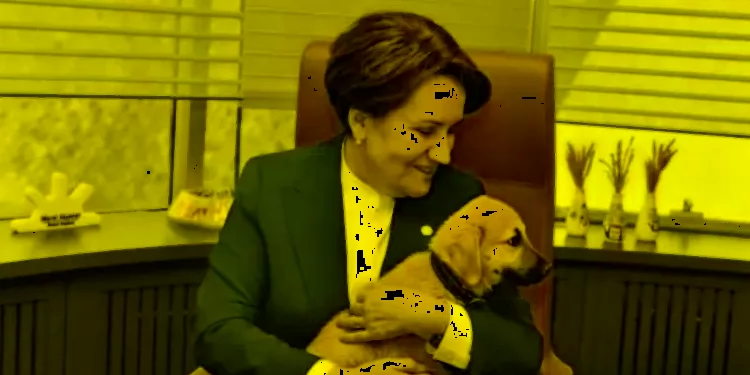 كلب يتربص بالمرأة الحديدية في تركيا