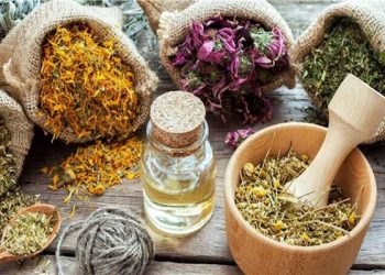 نباتات عشبية تمنحنا الراحة النفسية