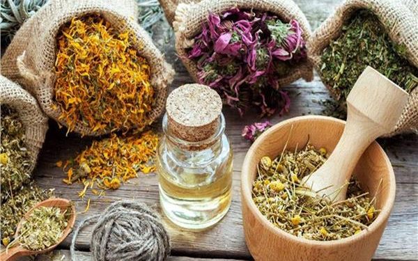 نباتات عشبية تمنحنا الراحة النفسية