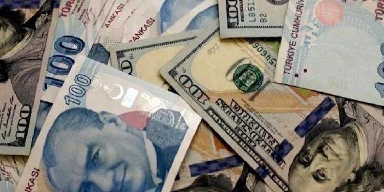 تركيا.. فوائد الودائع المؤمنة بالدولار تبلغ 15 مليار ليرة خلال شهر