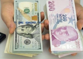 النقد الدولي: الليرة التركية أكثر العملات انخفاضًا مقابل الدولار