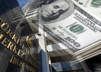 البنك المركزي التركي يتوقف تمامًا عن بيع العملات الأجنبية