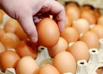 البيض سلعة رفاهية في تركيا