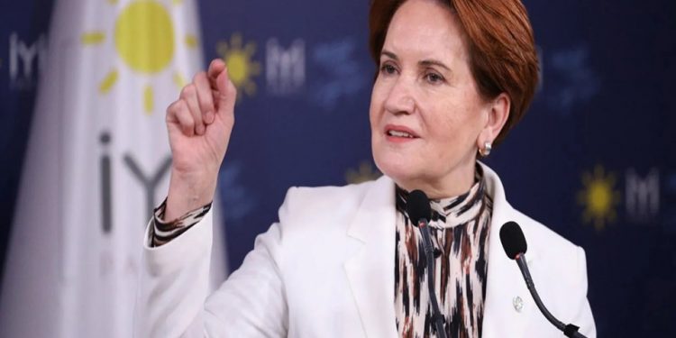 صحفي تركي: أردوغان يدرس تعيين ميرال أكشنار رئيسة للوزراء!