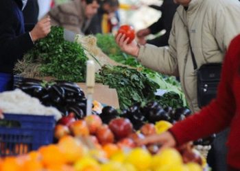 تركيا.. المحاصيل الزراعية لن يقل سعرها عن 10 ليرات خلال الشتاء