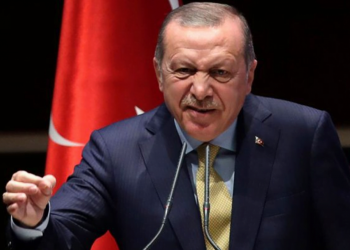 أردوغان: طائراتنا المسيّرة متمركزة في “قبرص” التركية لضمان الأمن فيها