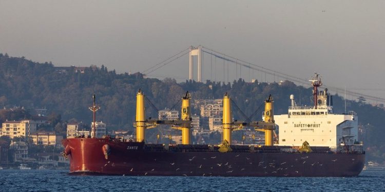 مسؤول تركي: تم تمديد صفقة الحبوب الأوكرانية لمدة 120 يومًا