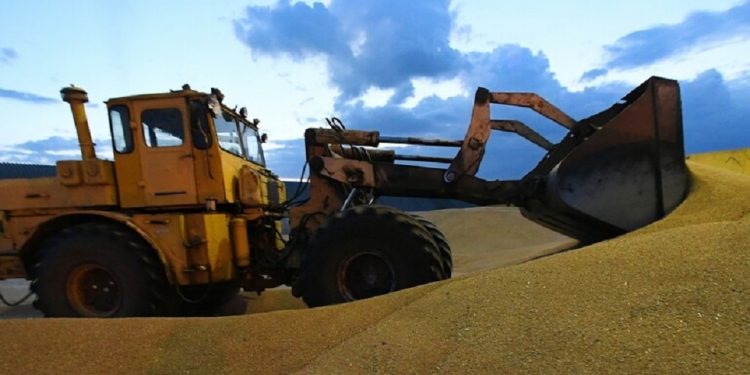 أردوغان يعلن رسميًّا تمديد صفقة الحبوب لمدة 120 يوما