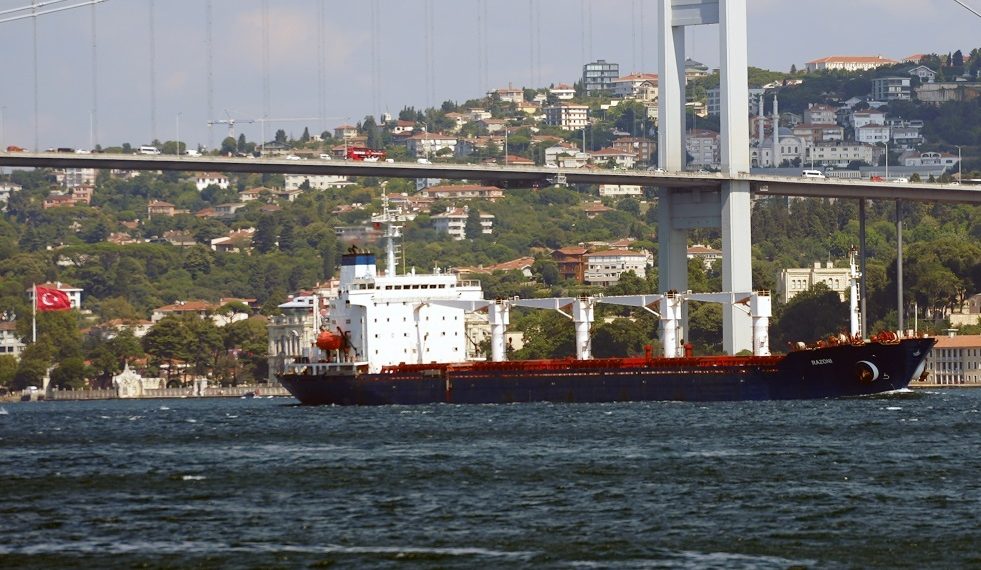 جنوح سفينة شحن تركية في بحر مرمرة