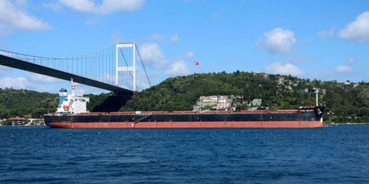 تركيا تحذر من توقف سفن الحبوب في مضيق البوسفور