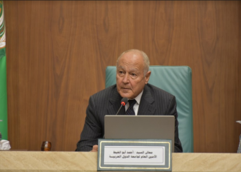 أبو الغيط يوجه التحية لأحرار العالم المتضامنين مع فلسطين 