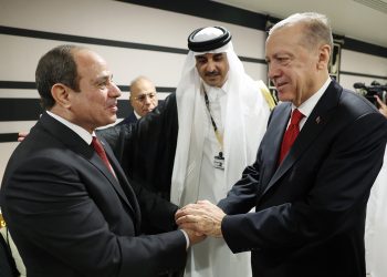 أردوغان عن لقاء السيسي: نتصرف وفق الظرف الراهن
