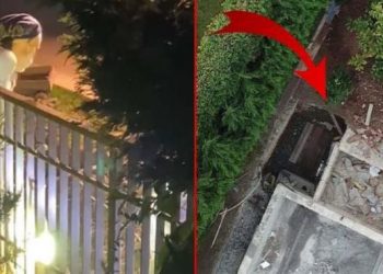 صحفي تركي: 3 جثث بحديقة منزل زعيم مافيا صربي في إسطنبول