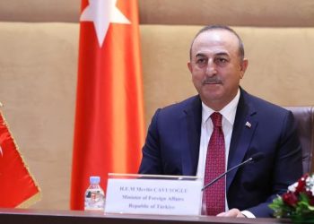 وزير الخارجية التركي: موقف تركيا والجزائر من القضية الفلسطينية لن يتغير