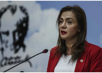 مليون و755 حالة إنجاب لقاصرات خلال حكم أردوغان