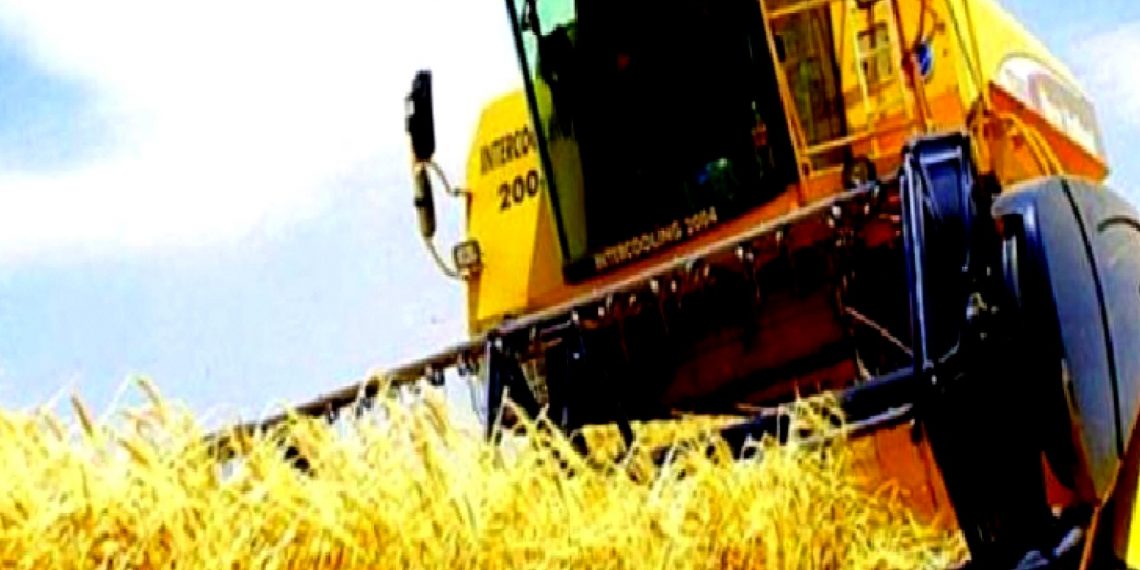 تركيا.. تضخم المنتجات الزراعية يسجل 150%