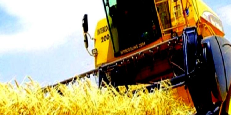 تركيا.. تضخم المنتجات الزراعية يسجل 150%