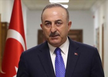 وزير خارجية تركيا: نفتح مع مصر صفحة جديدة في العلاقات الثنائية