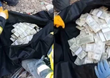 العثور على مليوني دولار تحت الأنقاض في تركيا