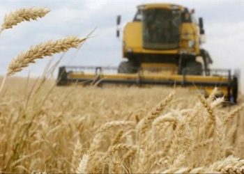 وزارة الدفاع التركية تنشر حصيلة “صفقة الحبوب”