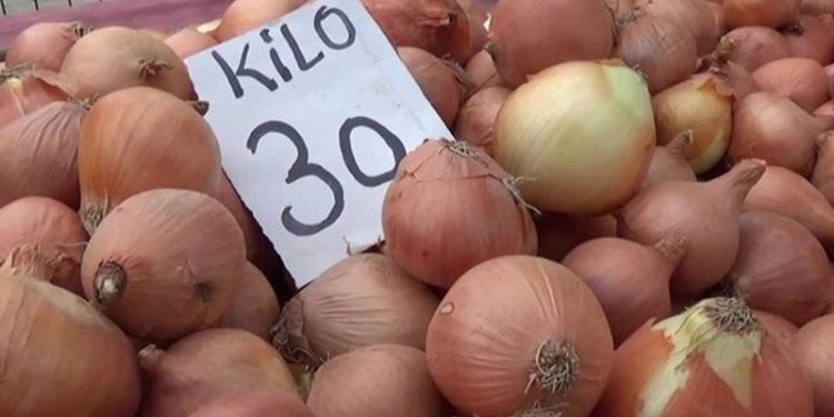 صحفي تركي: البصل أصبح رمزًا للانتخابات في تركيا